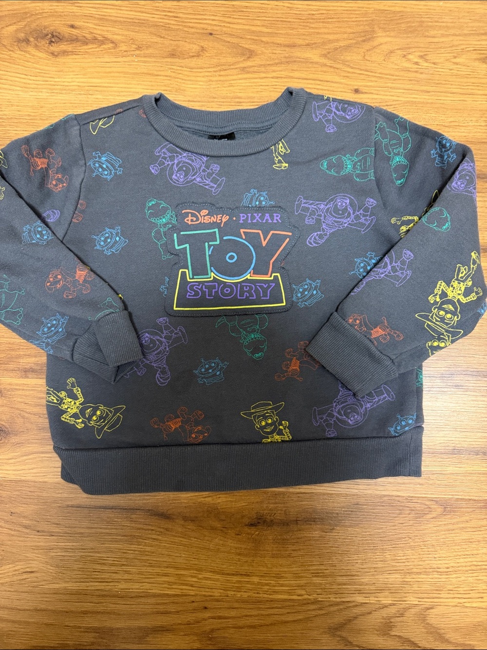 Disney Toy Story Gray Sweatshirt with Rainbow Character Outlines